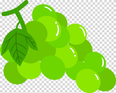 편집이미지 누끼 사람없음 초록색 청포도 PNG 포도잎 컬러 잎 포도 파일형식