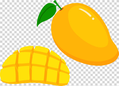 편집이미지 잎 누끼 사람없음 노란색 망고 PNG 식물 컬러 열대과일 파일형식