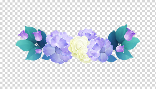 식물 꽃 컬러 파일형식 잎 보라색 카네이션 장미 편집이미지 PNG 사람없음 누끼