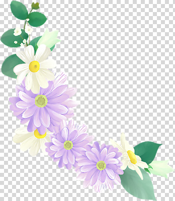 식물 꽃 컬러 파일형식 국화 잎 보라색 데이지 편집이미지 PNG 사람없음 누끼