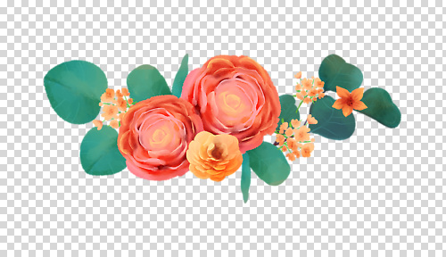 식물 꽃 컬러 파일형식 장미 잎 빨간색 편집이미지 PNG 사람없음 누끼