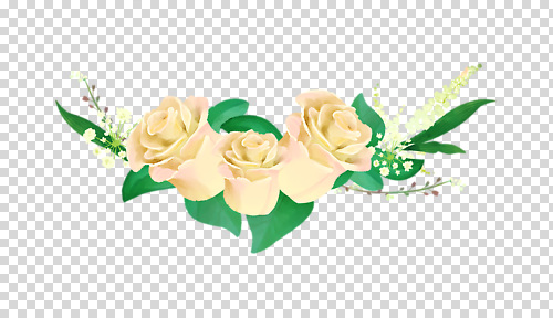 식물 꽃 파일형식 잎 장미 편집이미지 PNG 사람없음 누끼