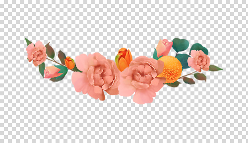 식물 꽃 컬러 파일형식 분홍색 국화 잎 장미 편집이미지 PNG 사람없음 누끼