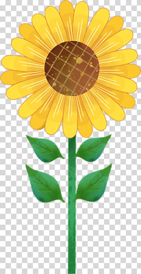 편집이미지 잎 한송이 해바라기 누끼 사람없음 PNG 식물 1 꽃 송이 파일형식