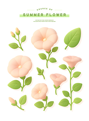 PSD 편집이미지 분홍색 스티커 잎 여름꽃 사람없음 세트 3D 꽃봉오리 나팔꽃 엘리먼트 편집3D 식물 꽃 컬러 디지털합성 파일형식 여름_계절