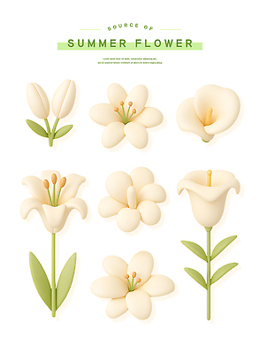 PSD 편집이미지 스티커 잎 여름꽃 사람없음 세트 3D 흰색 백합 꽃봉오리 엘리먼트 편집3D 식물 꽃 컬러 디지털합성 파일형식 여름_계절