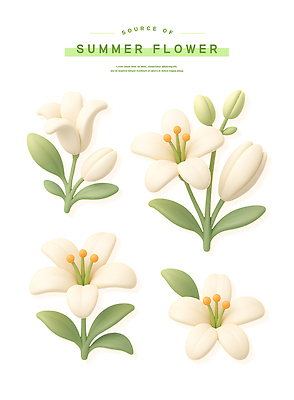 PSD 편집이미지 스티커 잎 여름꽃 사람없음 세트 3D 흰색 백합 꽃봉오리 엘리먼트 편집3D 식물 꽃 컬러 디지털합성 파일형식 여름_계절