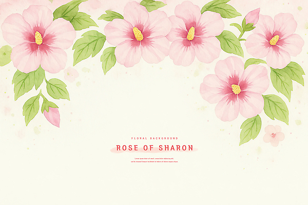 PSD 잎 일러스트 수채화 사람없음 꽃봉오리 무궁화 연분홍색 카피스페이스 국내일러스트 식물 꽃 분홍색 공백 파일형식