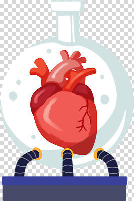 편집이미지 누끼 사람없음 기계 심장 PNG 둥근플라스크 장기_의학 플라스크 파일형식