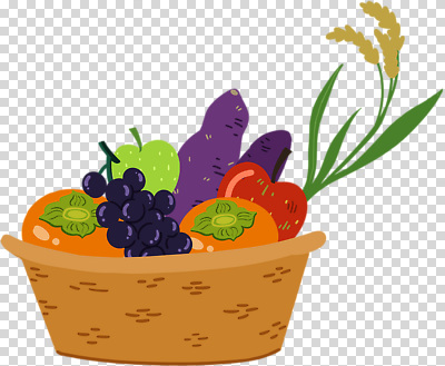 편집이미지 포도 감 누끼 사람없음 바구니 벼 사과 고구마 PNG 과일 곡류 뿌리채소 파일형식