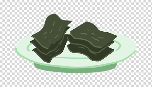 편집이미지 접시 누끼 사람없음 초록색 PNG 다시마 식기 컬러 해조류 파일형식