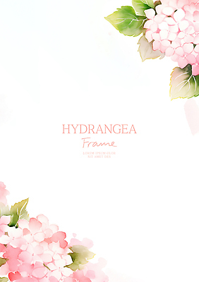 PSD 분홍색 잎 일러스트 여름꽃 수채화 사람없음 수국 꽃프레임 카피스페이스 국내일러스트 식물 꽃 컬러 프레임 공백 파일형식 여름_계절