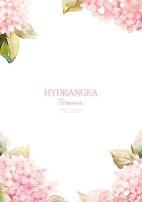 PSD 분홍색 잎 일러스트 여름꽃 수채화 사람없음 수국 꽃프레임 카피스페이스 국내일러스트 식물 꽃 컬러 프레임 공백 파일형식 여름_계절