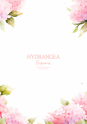 PSD 분홍색 잎 일러스트 여름꽃 수채화 사람없음 수국 꽃프레임 카피스페이스 국내일러스트 식물 꽃 컬러 프레임 공백 파일형식 여름_계절