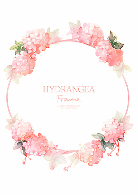 PSD 분홍색 잎 일러스트 여름꽃 수채화 사람없음 원형 수국 꽃프레임 카피스페이스 국내일러스트 도형 식물 꽃 컬러 프레임 공백 파일형식 여름_계절