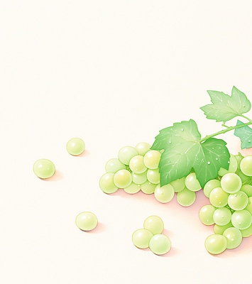 JPG 일러스트 수채화 그림자 사람없음 연두색 포도잎 망고포도 국내일러스트 AI일러스트 AI콘텐츠 잎 포도 초록색 청포도 파일형식
