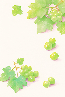 JPG 일러스트 수채화 그림자 사람없음 연두색 포도잎 망고포도 국내일러스트 AI일러스트 AI콘텐츠 잎 포도 초록색 청포도 파일형식