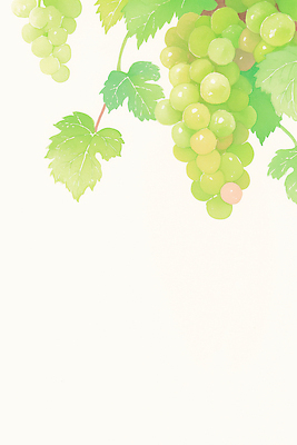 JPG 일러스트 수채화 사람없음 연두색 나뭇가지 포도잎 카피스페이스 망고포도 국내일러스트 AI일러스트 AI콘텐츠 나무 잎 포도 초록색 공백 청포도 파일형식