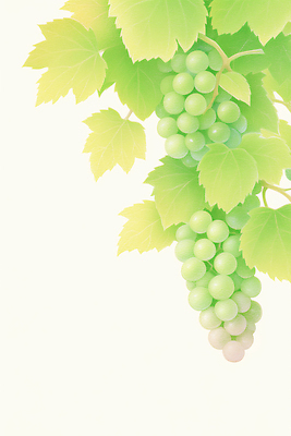 JPG 일러스트 수채화 사람없음 연두색 나뭇가지 포도잎 카피스페이스 망고포도 국내일러스트 AI일러스트 AI콘텐츠 나무 잎 포도 초록색 공백 청포도 파일형식