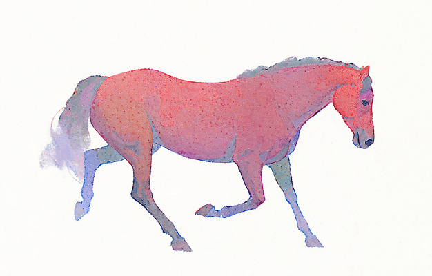 JPG 일러스트 수채화 사람없음 빨간색 달리기 말띠 국내일러스트 병오년 붉은말 AI일러스트 AI콘텐츠 컬러 모션 십이지신 말_동물 파일형식 2026년