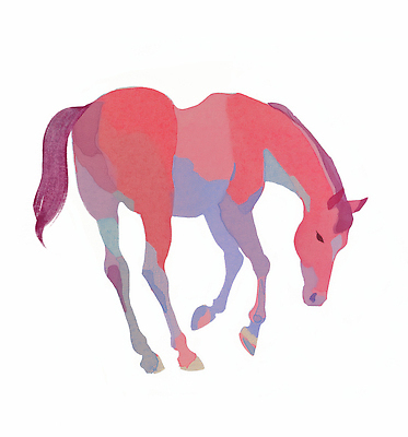 JPG 일러스트 수채화 고개숙이기 사람없음 빨간색 말띠 국내일러스트 병오년 붉은말 AI일러스트 AI콘텐츠 컬러 숙이기 십이지신 말_동물 파일형식 2026년