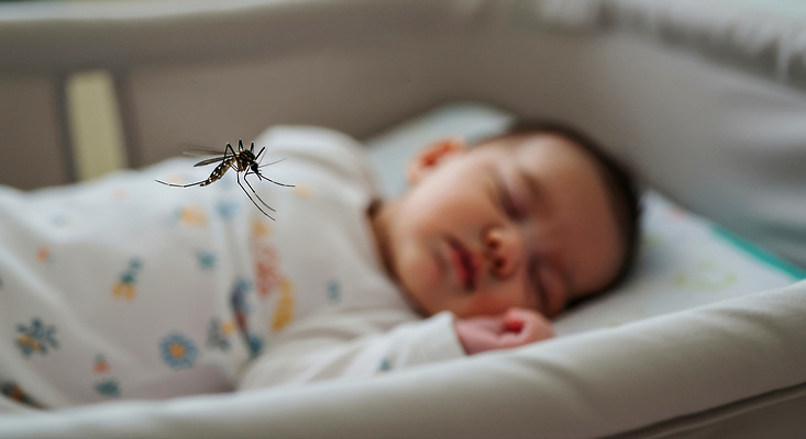 JPG 편집이미지 한명 상반신 여름 눕기 아기 낮잠 모기 아기침대 의료성형뷰티 편집실사 AI인물포토 AI콘텐츠 1 계절 모션 사람 아기용품 침대 잠 해충 CG 파일형식 AI포토
