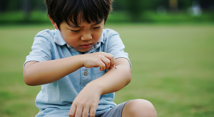 JPG 편집이미지 남자 어린이 한명 소년 야외 초록색 여름 손들기 찡그림 모기 의료성형뷰티 소년한명만 긁기 물림 편집실사 AI인물포토 AI콘텐츠 1 계절 컬러 모션 표정 사람 해충 CG 남자한명만 소년만 파일형식 AI포토