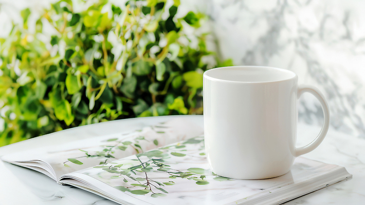 JPG 편집이미지 화분 여유 잎 탁자 티타임 사람없음 햇빛 평화 머그컵 잡지 대리석 편집실사 AI포토 AI콘텐츠 식물 감정 가구 컨셉 재료 휴식 간행물 컵 태양 CG 파일형식