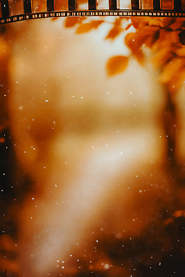 JPG 편집이미지 나뭇잎 사람없음 노란색 낭만 빈티지 필름 아날로그 감성 필름카메라 편집실사 AI컴퓨터그래픽 AI콘텐츠 컬러 컨셉 잎 카메라 CG 파일형식