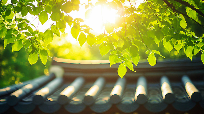 JPG 편집이미지 하늘 나뭇잎 한국 사람없음 초록색 햇빛 여름풍경 나뭇가지 기와지붕 편집실사 AI포토 AI콘텐츠 나무 아시아 컬러 잎 지붕 기와 풍경 태양 CG 파일형식 여름_계절