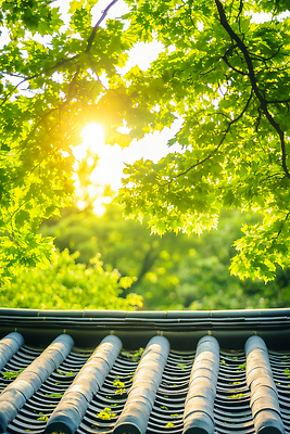 JPG 편집이미지 하늘 나뭇잎 한국 사람없음 초록색 햇빛 여름풍경 나뭇가지 기와지붕 편집실사 AI포토 AI콘텐츠 나무 아시아 컬러 잎 지붕 기와 풍경 태양 CG 파일형식 여름_계절