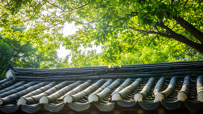 JPG 편집이미지 하늘 나뭇잎 한국 사람없음 초록색 햇빛 여름풍경 나뭇가지 기와지붕 편집실사 AI포토 AI콘텐츠 나무 아시아 컬러 잎 지붕 기와 풍경 태양 CG 파일형식 여름_계절