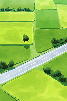 JPG 나무 도로 밭 일러스트 자연 잔디 사람없음 초록색 여름풍경 풀 국내일러스트 AI일러스트 AI콘텐츠 식물 길 컬러 농업 교통시설 풍경 생태계 파일형식 여름_계절