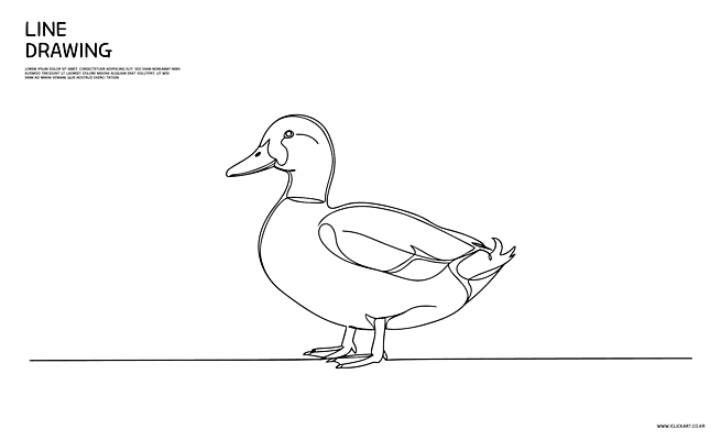 동물 라인일러스트 일러스트 오리 사람없음 라인아트 심플 드로잉 국내일러스트 AI파일 선 조류 미술 파일형식 벡터