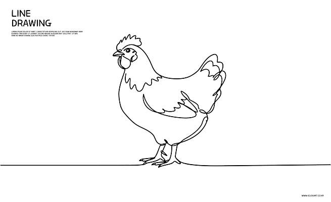 동물 라인일러스트 일러스트 사람없음 십이지신 닭 라인아트 심플 드로잉 국내일러스트 AI파일 선 조류 미술 파일형식 벡터