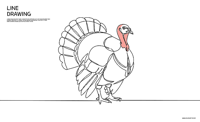 동물 라인일러스트 일러스트 사람없음 라인아트 심플 드로잉 칠면조 국내일러스트 AI파일 선 조류 미술 파일형식 벡터