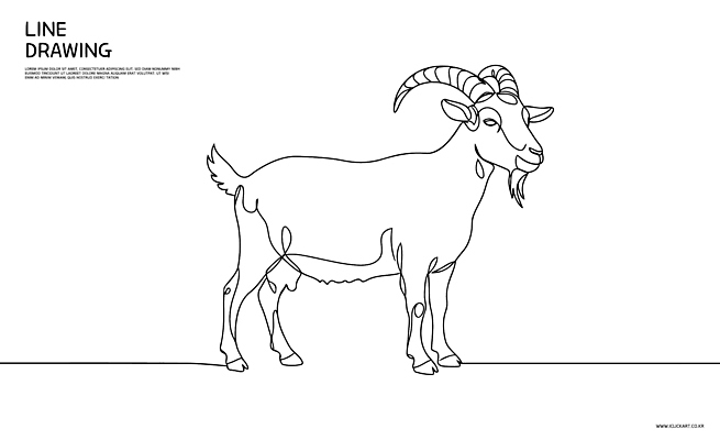 동물 라인일러스트 일러스트 염소 사람없음 라인아트 심플 드로잉 국내일러스트 AI파일 선 포유류 미술 파일형식 벡터