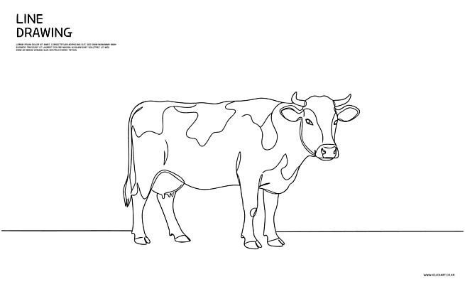 동물 라인일러스트 일러스트 사람없음 십이지신 라인아트 젖소 심플 드로잉 얼룩소 국내일러스트 AI파일 선 미술 소 파일형식 벡터