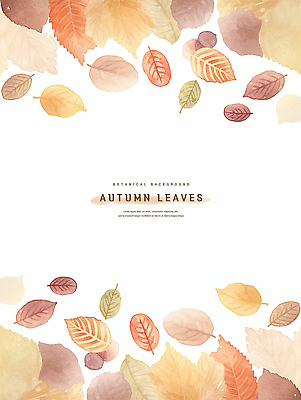 PSD 백그라운드 낙엽 일러스트 나뭇잎 수채화 프레임 사람없음 갈색 가을 카피스페이스 국내일러스트 계절 컬러 잎 공백 파일형식