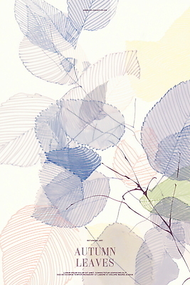 PSD 백그라운드 낙엽 일러스트 추상 사람없음 가을 나뭇가지 라인아트 아이보리 국내일러스트 나무 계절 선 컬러 잎 무늬 파일형식