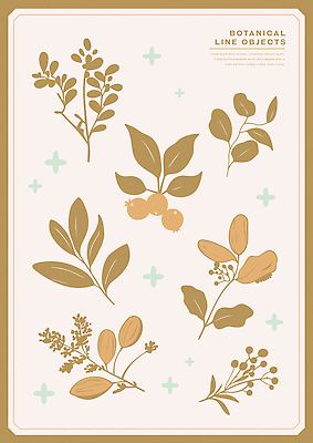 열매 잎 일러스트 사람없음 반짝임 갈색 오브젝트 보테니컬아트 국내일러스트 AI파일 식물 컬러 모션 파일형식 벡터