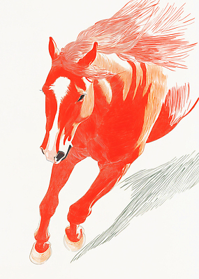 JPG 일러스트 그림자 사람없음 달리기 스케치 말띠 국내일러스트 병오년 붉은말 AI일러스트 AI콘텐츠 모션 미술 십이지신 말_동물 파일형식 2026년