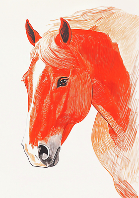 JPG 일러스트 사람없음 스케치 말띠 국내일러스트 병오년 붉은말 AI일러스트 AI콘텐츠 미술 십이지신 말_동물 파일형식 2026년