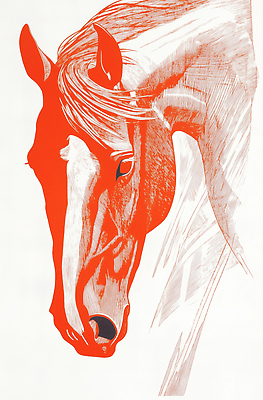 JPG 일러스트 사람없음 달리기 스케치 말띠 국내일러스트 병오년 붉은말 AI일러스트 AI콘텐츠 모션 미술 십이지신 말_동물 파일형식 2026년