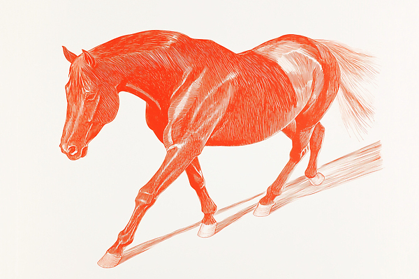 JPG 일러스트 그림자 사람없음 달리기 스케치 말띠 국내일러스트 병오년 붉은말 AI일러스트 AI콘텐츠 모션 미술 십이지신 말_동물 파일형식 2026년