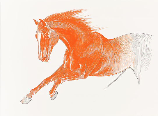 JPG 일러스트 사람없음 달리기 스케치 말띠 국내일러스트 병오년 붉은말 AI일러스트 AI콘텐츠 모션 미술 십이지신 말_동물 파일형식 2026년