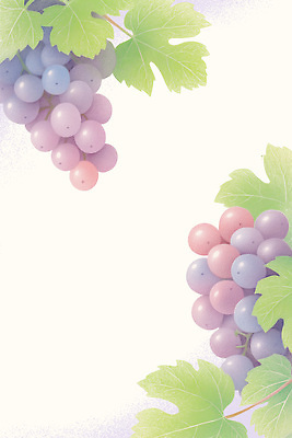 PSD 일러스트 프레임 사람없음 나뭇가지 포도나무 포도잎 국내일러스트 나무 잎 포도 과일나무 파일형식