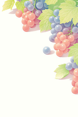 PSD 일러스트 사람없음 포도나무 포도알 포도잎 국내일러스트 잎 포도 과일나무 파일형식