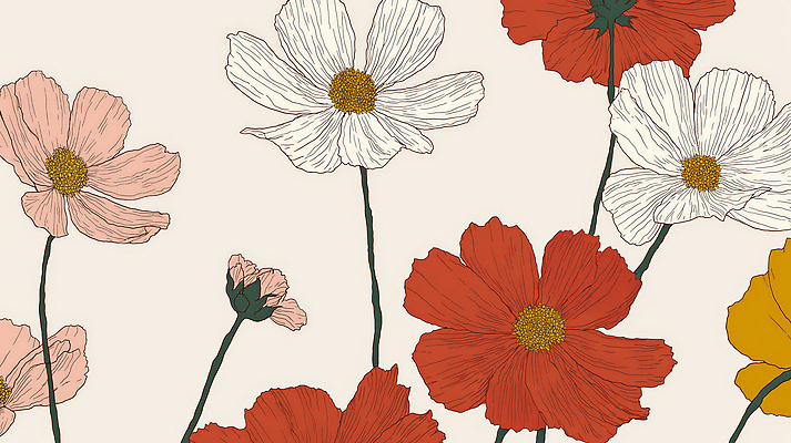 JPG 백그라운드 일러스트 가을꽃 사람없음 코스모스 연분홍색 국내일러스트 AI일러스트 AI콘텐츠 꽃 분홍색 파일형식 가을_계절