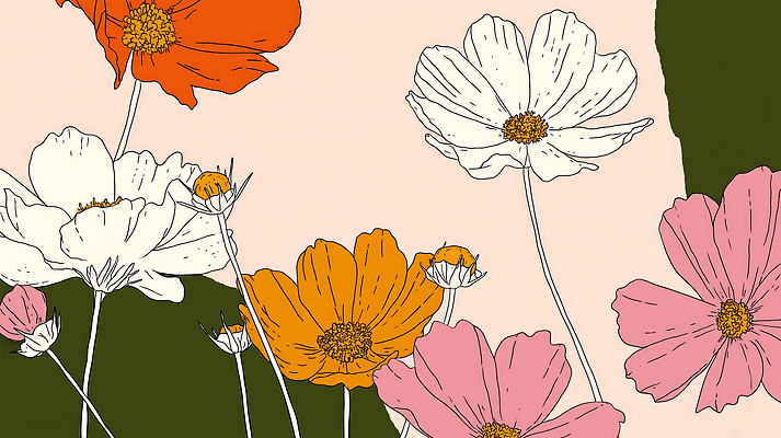 JPG 백그라운드 잎 일러스트 가을꽃 사람없음 코스모스 연분홍색 국내일러스트 AI일러스트 AI콘텐츠 식물 꽃 분홍색 파일형식 가을_계절